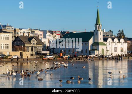 Island, Capital Region, Reykjavik, See Tjornin, Graugans (Anser anser), Schwan (Cygnus Cygnus) und Stockente (Anas platyrhynchos) Stockfoto