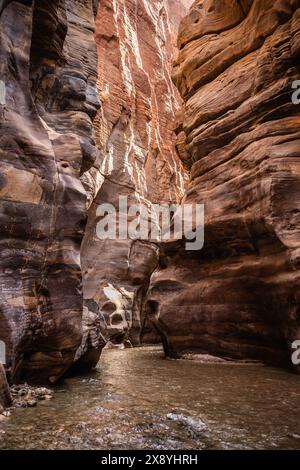 Enge Felsschlucht in Wadi Mujib. Rocky Canyon mit Arnon Stream in Jordanien. Landschaft im Mujib Natural Reserve. Stockfoto