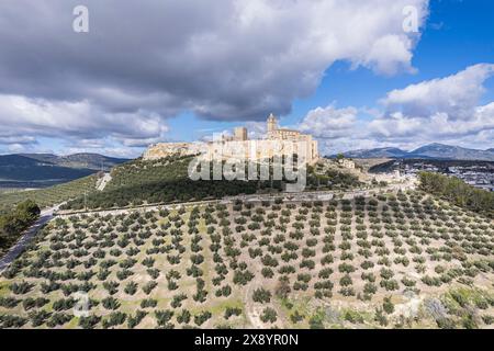 Spanien, Andalusien, Alcala la Real, Castillo de la Mota in den Olivenbäumen (aus der Vogelperspektive) Stockfoto