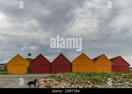 Eine Reihe von leuchtenden roten und gelben Holzschuppen steht unter einem bewölkten Himmel, mit einem schwarzen Labrador-Hund, der ein orangenes Gurtzeug im Vordergrund trägt. Stockfoto