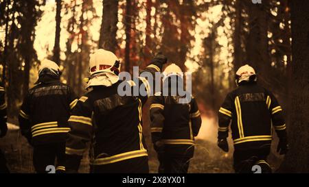 Rückaufnahme einer Gruppe von Feuerwehrleuten, die eine Feuerquelle tief in einem Wildland Forest untersuchen. Erfahrene Feuerwehrleute schaffen es rechtzeitig, bevor sich die Flammen ausbreiten und eine gefährliche ökologische Katastrophe verursachen. Stockfoto