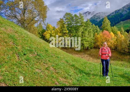 Wanderer auf dem Talblickweg im Herbst, Italien, Südtirol, Talblickweg, St. Magdalena Stockfoto