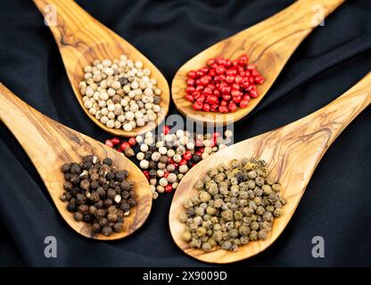 Weißer, roter, schwarzer und grüner Pfeffer auf Holzlöffeln Stockfoto