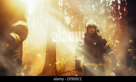 Multikulturelle Gruppe von Feuerwehrleuten, die in einem geräucherten Wald spazieren und Wildlandfeuer verbreiten. Truppenleiter bewertet das Ausmaß der Katastrophe. Denken Sie an Anweisungen für das Team, die Flammen zu löschen. Stockfoto