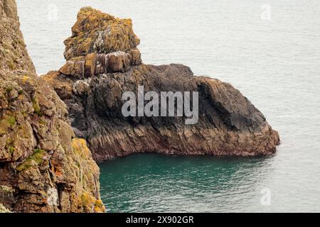 Skomer Island Landscape Format Spätsaison felsige Klippen und felsige Insel türkisfarbene Meer ferne Seevögel Kolonien auf Felsen Kopierraum Stockfoto