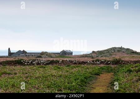 Skomer Island entfernte Herberge und aus Gebäuden Steinmauer felsiger Hügel und kurzer Turm Wahrzeichen Kopie Raum Landschaft Format Spätsaison Stockfoto