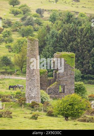 Wheal Jenkin Mine Minions Stockfoto