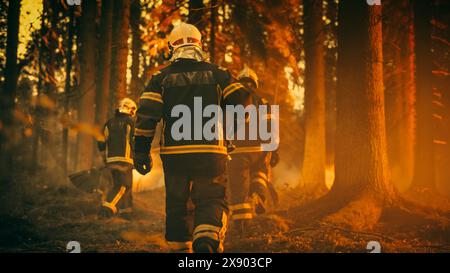 Etablierung Shot: Team von Feuerwehrleuten in Sicherheitsuniform und Helmen löscht ein Wildlandfeuer, bewegt sich entlang eines geräucherten Waldes, um gefährliche ökologische Notfälle zu bekämpfen. Filmmaterial Im Kino. Stockfoto