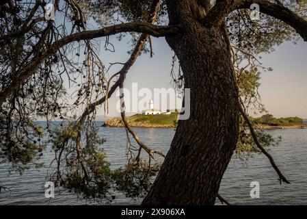 Leuchtturm von Alcanada, Insel Alcanada, Alcudia, Mallorca, Balearen, Spanien Stockfoto