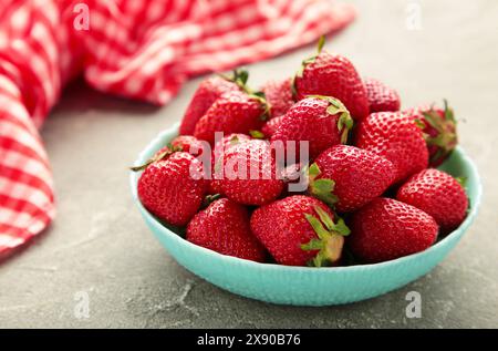 Reife Erdbeeren in blauer Schüssel auf grauem Hintergrund. Draufsicht. Stockfoto