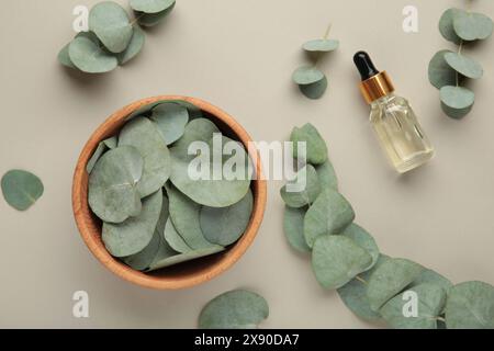 Hölzerne Schale Eukalyptus, ein Bündel frischer Eukalyptuszweige auf beigem Hintergrund. Natürliche organische Inhaltsstoffe für Kosmetik, Hautpflege, Körperbehandlung Stockfoto