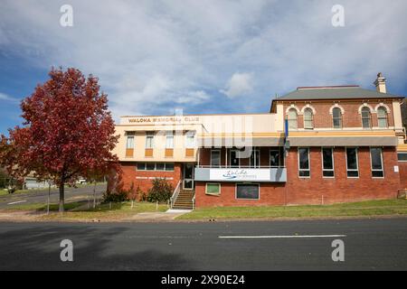 Walcha-Gedenkstätte und ehemaliger Militärs-Verein im Stadtzentrum, Northern Tablelands, NSW, Australien Stockfoto