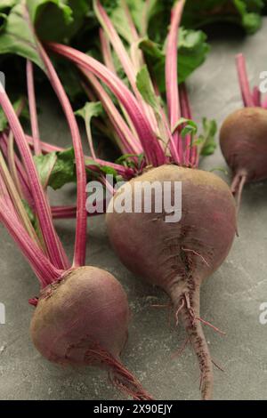 Rote Bete mit grünen Blättern auf grauem Hintergrund. Draufsicht. Stockfoto