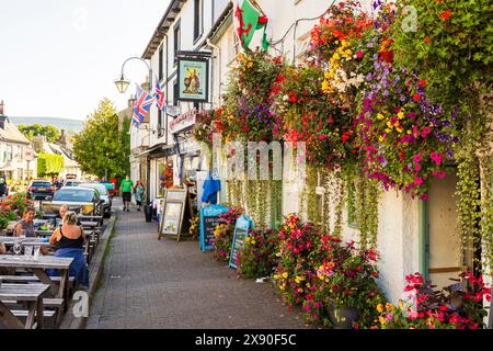 Blumen vor dem Britannia Pub, Crickhowell, Wales, Großbritannien Stockfoto