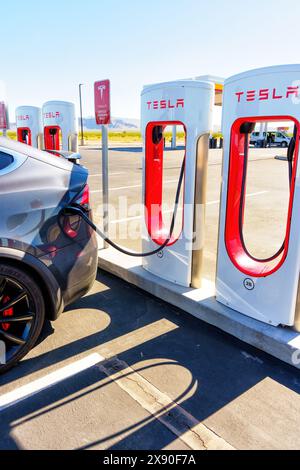 White Hills, Arizona - 14. April 2024: Nahaufnahme eines Tesla Elektroautos, das an einer Kompressorstation aufgeladen wird Stockfoto