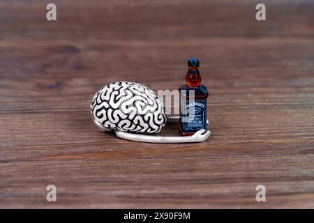 Kiew, Ukraine - 26. Januar 2024: Die Figur des Brain Model hält eine Miniatur-Jack Daniel’s Whiskey-Flasche auf einer rustikalen Holzoberfläche Stockfoto