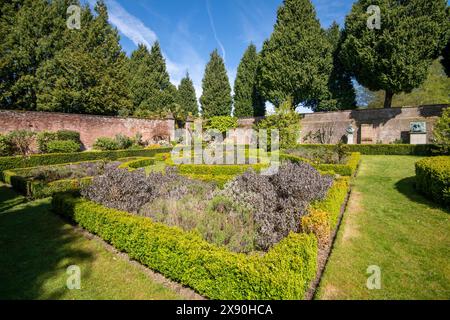 Ein Frühlingstag im Rose Garden in Newstead Abbey, Nottinghamshire England, Großbritannien Stockfoto