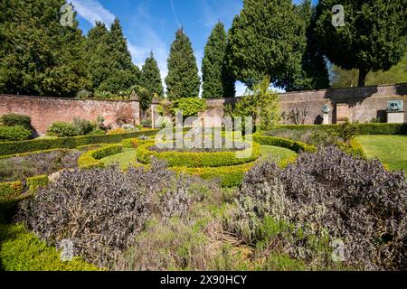 Ein Frühlingstag im Rose Garden in Newstead Abbey, Nottinghamshire England, Großbritannien Stockfoto