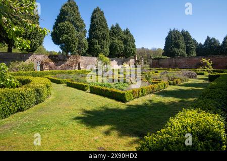 Ein Frühlingstag im Rose Garden in Newstead Abbey, Nottinghamshire England, Großbritannien Stockfoto