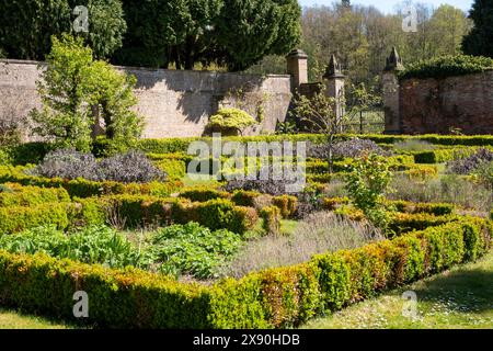 Ein Frühlingstag im Rose Garden in Newstead Abbey, Nottinghamshire England, Großbritannien Stockfoto