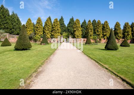 Ein Frühlingstag im Rose Garden in Newstead Abbey, Nottinghamshire England, Großbritannien Stockfoto