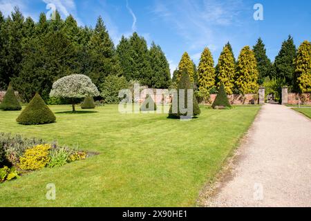 Ein Frühlingstag im Rose Garden in Newstead Abbey, Nottinghamshire England, Großbritannien Stockfoto