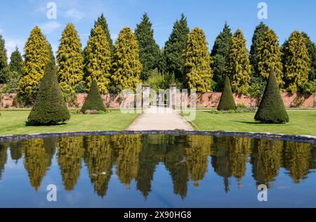 Ein Frühlingstag im Rose Garden in Newstead Abbey, Nottinghamshire England, Großbritannien Stockfoto