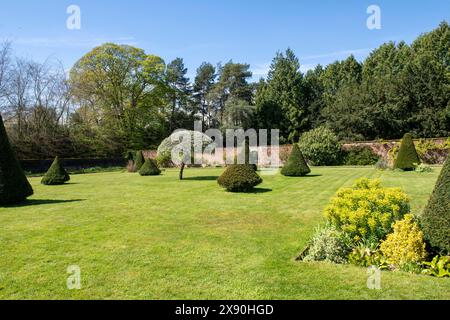 Ein Frühlingstag im Rose Garden in Newstead Abbey, Nottinghamshire England, Großbritannien Stockfoto