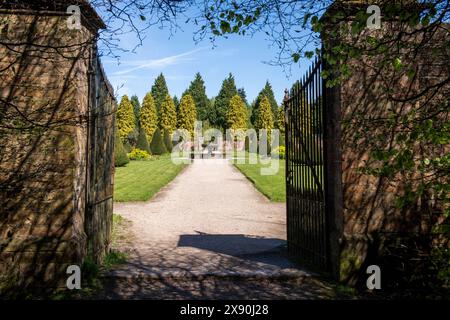 Ein Frühlingstag im Rose Garden in Newstead Abbey, Nottinghamshire England, Großbritannien Stockfoto