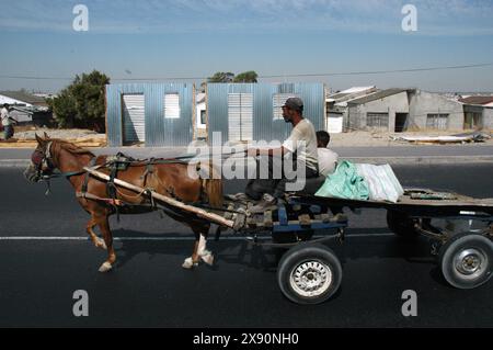 Ein örtlicher Händler reitet mit einem Pferdewagen vorbei an fertigen Hütten, die in der Gemeinde für etwa GBP150 Khayelitsha verkauft werden Stockfoto