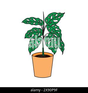 Monstera-Blumenbild. Stock Vektor