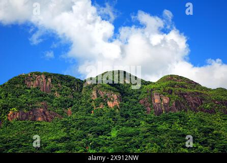 Mount Trois Freres /Three Brothers/ mit 699 m ist der 2. Die höchste auf den Seychellen. Stockfoto