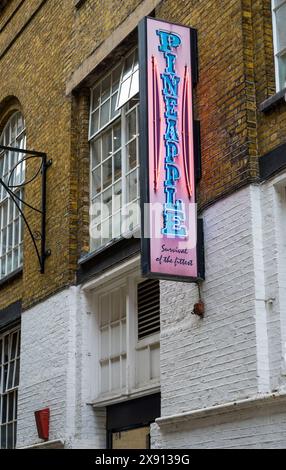 Pineapple Dance Studios, Covent Garden, London, England, Großbritannien GB Stockfoto