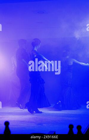 Silhouetten einer Gruppe spanischer Flamenco-Tänzer auf der Bühne des Theaters auf dunkelblauem Hintergrund. Platz für Ihr Design. Stockfoto