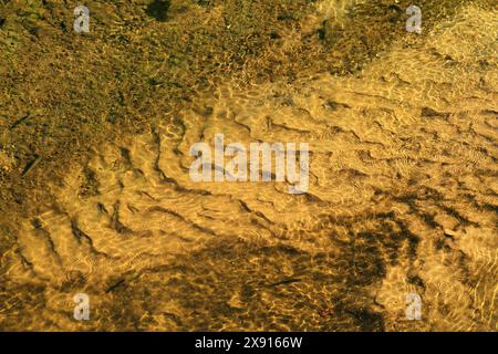 Die Gewässer des Rivanna River in Virginia, USA Stockfoto