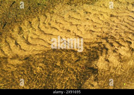 Die Gewässer des Rivanna River in Virginia, USA Stockfoto