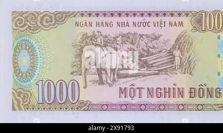 Die Vietnam National Bank gibt Banknoten in Stückelungen von 1.000 Dong aus Stockfoto