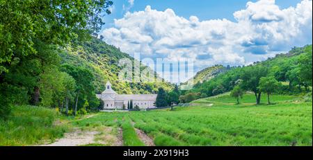 Notre-Dame de Senanque Abbey, in Vaucluse, Provence, Frankreich Stockfoto