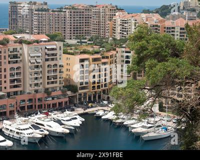 Ein Hafen mit vielen Yachten und hohen Gebäuden, ein Baum im Vordergrund unter klarem Himmel im Sommer, Boote und Yachten im blauen Meer vor einem Stockfoto