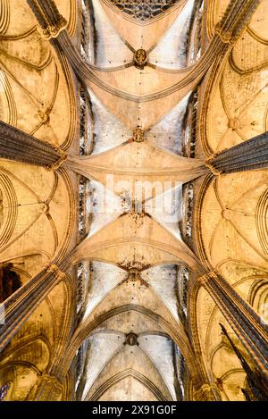 Innenansicht, La Catedral de la Santa Creu i Santa Eulalia, Barri Gotic, Barcelona, Katalonien, Spanien, Europa, detaillierte Deckenansicht einer Gotik Stockfoto