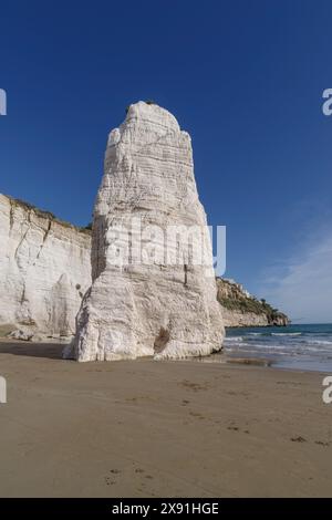 Pizzomunno Kalksteinklippe am Strand von Vieste, Gargano, Provinz Foggia, Apulien, Italien Stockfoto