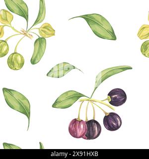 Maqui Beere, lila rosa Frucht nahtlos Muster mit Blättern. Aristotelia chilensis textiler Aquarell-Ornament-Clipart. Lebhaftes chilenisches Weinbeermuster für Kleidung, Papier, Scrapbooking und Tapeten Stockfoto