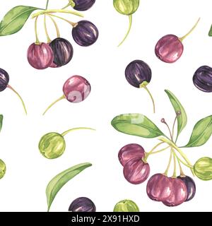 Maqui Beere, lila rosa Frucht nahtlos Muster mit Blättern. Aristotelia chilensis textiler Aquarell-Ornament-Clipart. Lebhaftes chilenisches Weinbeermuster für Kleidung, Papier, Scrapbooking und Tapeten Stockfoto