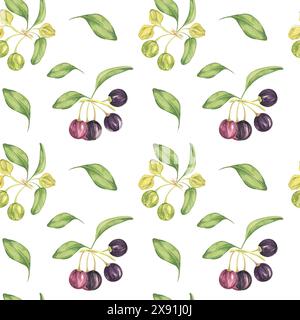Maqui Beere, lila rosa Frucht nahtlos Muster mit Blättern. Aristotelia chilensis textiler Aquarell-Ornament-Clipart. Lebhaftes chilenisches Weinbeermuster für Kleidung, Papier, Scrapbooking und Tapeten Stockfoto