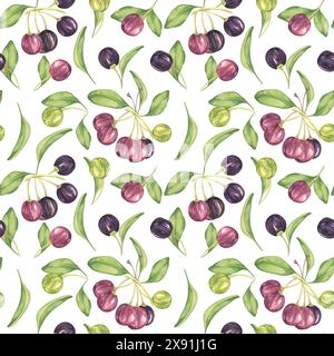 Maqui Beere, lila rosa Frucht nahtlos Muster mit Blättern. Aristotelia chilensis textiler Aquarell-Ornament-Clipart. Lebhaftes chilenisches Weinbeermuster für Kleidung, Papier, Scrapbooking und Tapeten Stockfoto