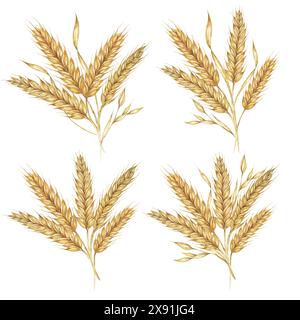 Gerste Stacheln, Getreideohren, Weizenstiele. Blumenstrauß für Shavuot, Thanksgiving, Oktoberfest Clipart. Cottagecore rustikale Aquarellillustration für Bier Whisky, Brot, Mehlverpackung, Etikett. Stockfoto