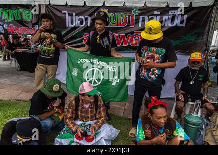 Bangkok, Thailand. Mai 2024. Cannabisaktivisten nehmen an dem Protest Teil. Eine Gruppe von Cannabisaktivisten und -Unterstützern versammelte sich vor dem Gebäude der Vereinten Nationen in Bangkok, um gegen die Möglichkeit der Wiederkriminalisierung von Cannabis zu protestieren, nachdem Cannabis in Thailand 2022 entkriminalisiert wurde. Die thailändische Regierung plant, sie bis Ende 2024 erneut unter Strafe zu stellen. (Foto: Peerapon Boonyakiat/SOPA Images/SIPA USA) Credit: SIPA USA/Alamy Live News Stockfoto