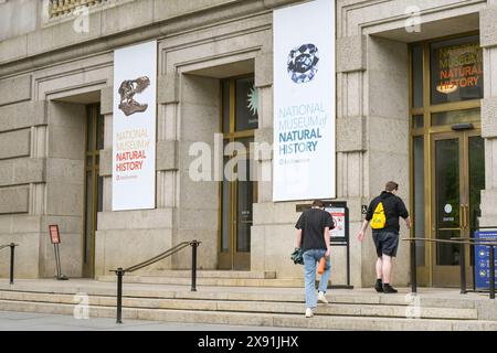 Washington DC, USA - 3. Mai 2024: Menschen betreten das Smithsonian Institute National Museum of Natural History Stockfoto