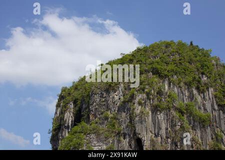 Majestätische Kalksteinklippe mit grüner Flora. Stockfoto