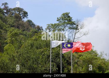 Die malaysische Flagge, auch bekannt als Jalur Gemilang, winkt anmutig neben zwei anderen Flaggen vor einem Hintergrund von dichtem, tropischem Laub. Stockfoto